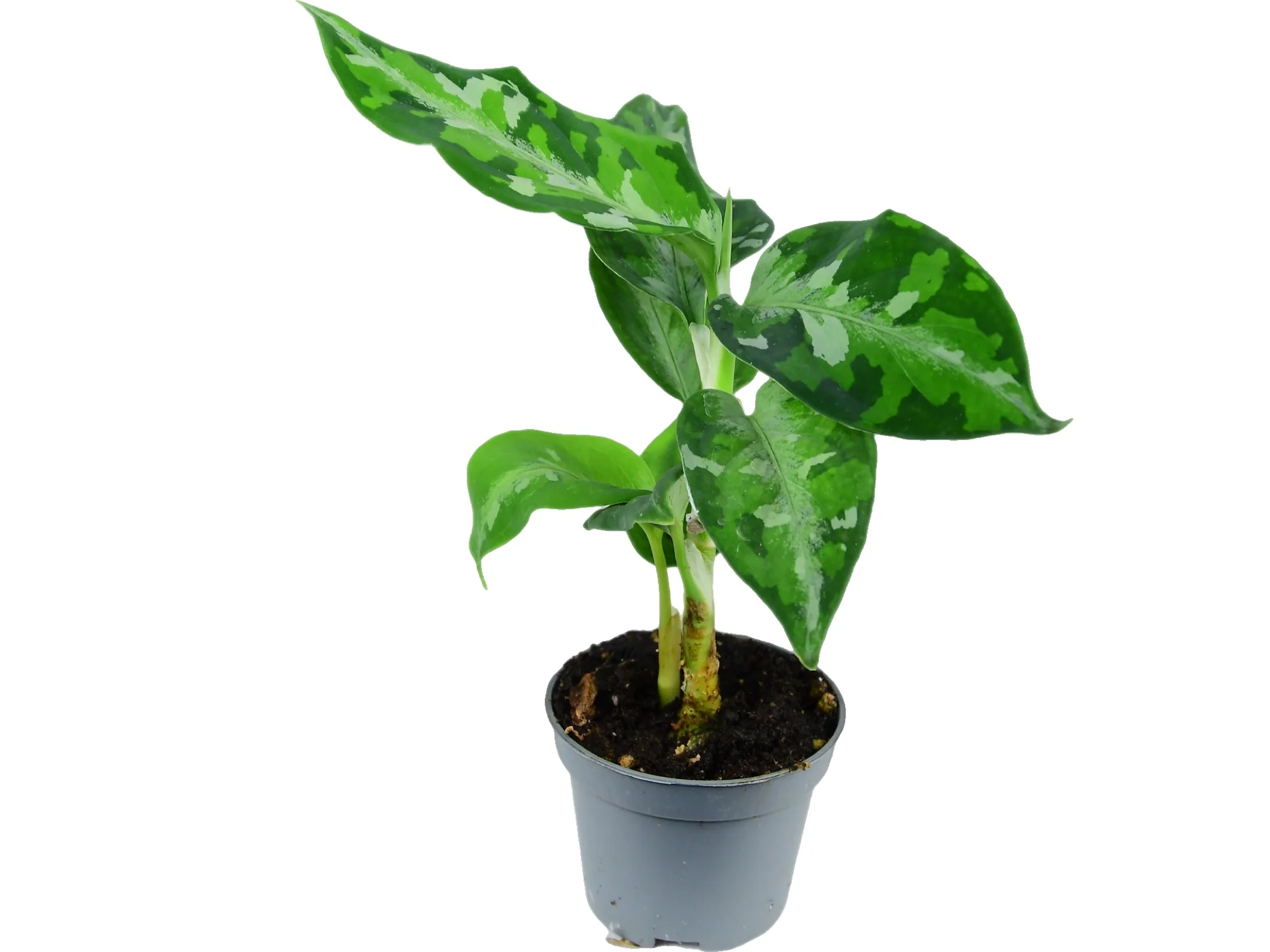 Produktbild 3