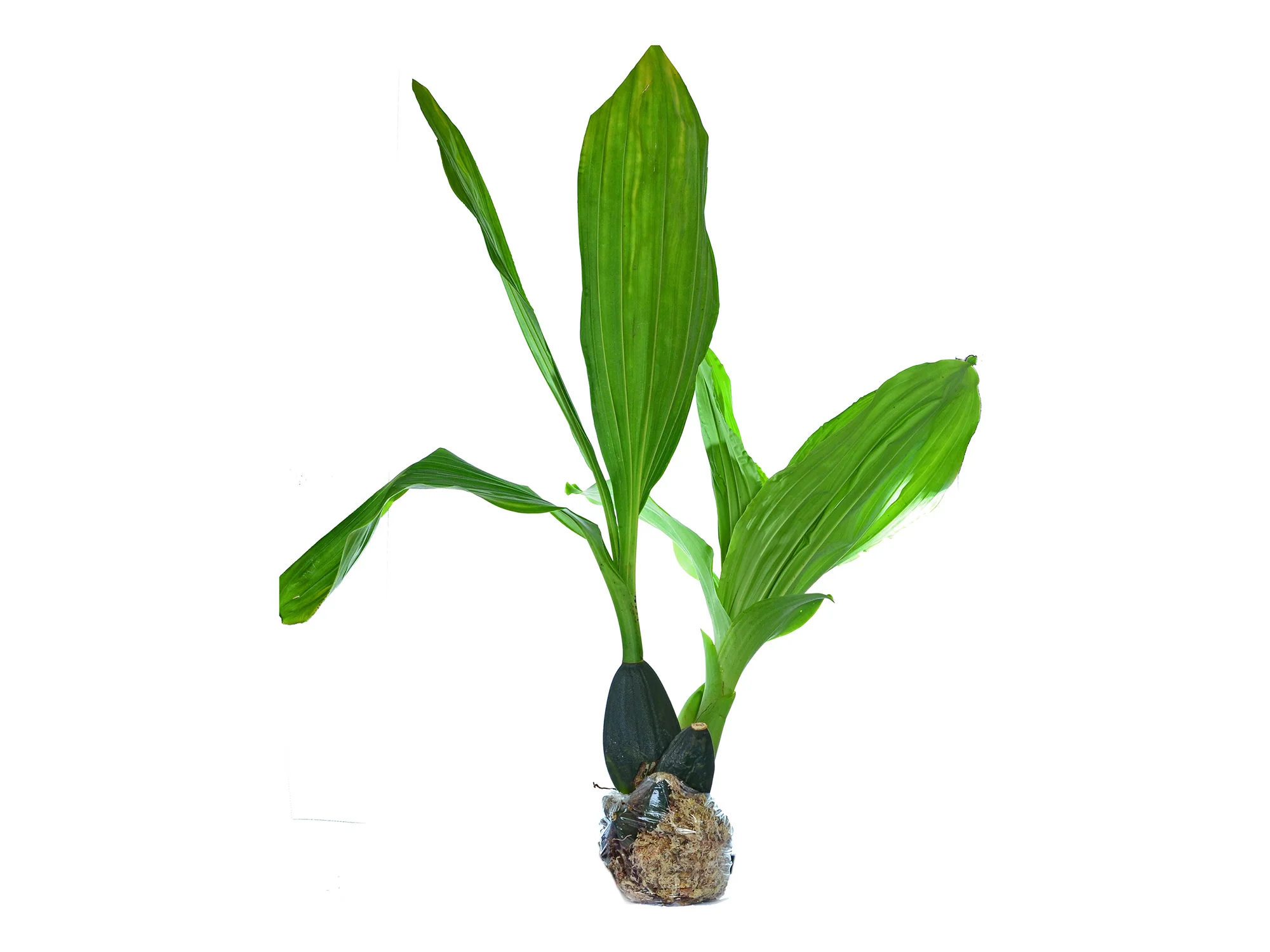 Produktbild 2