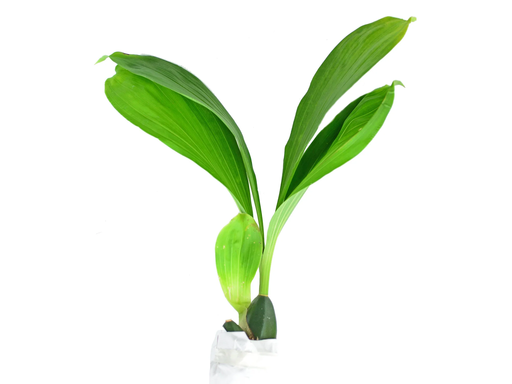Produktbild 2