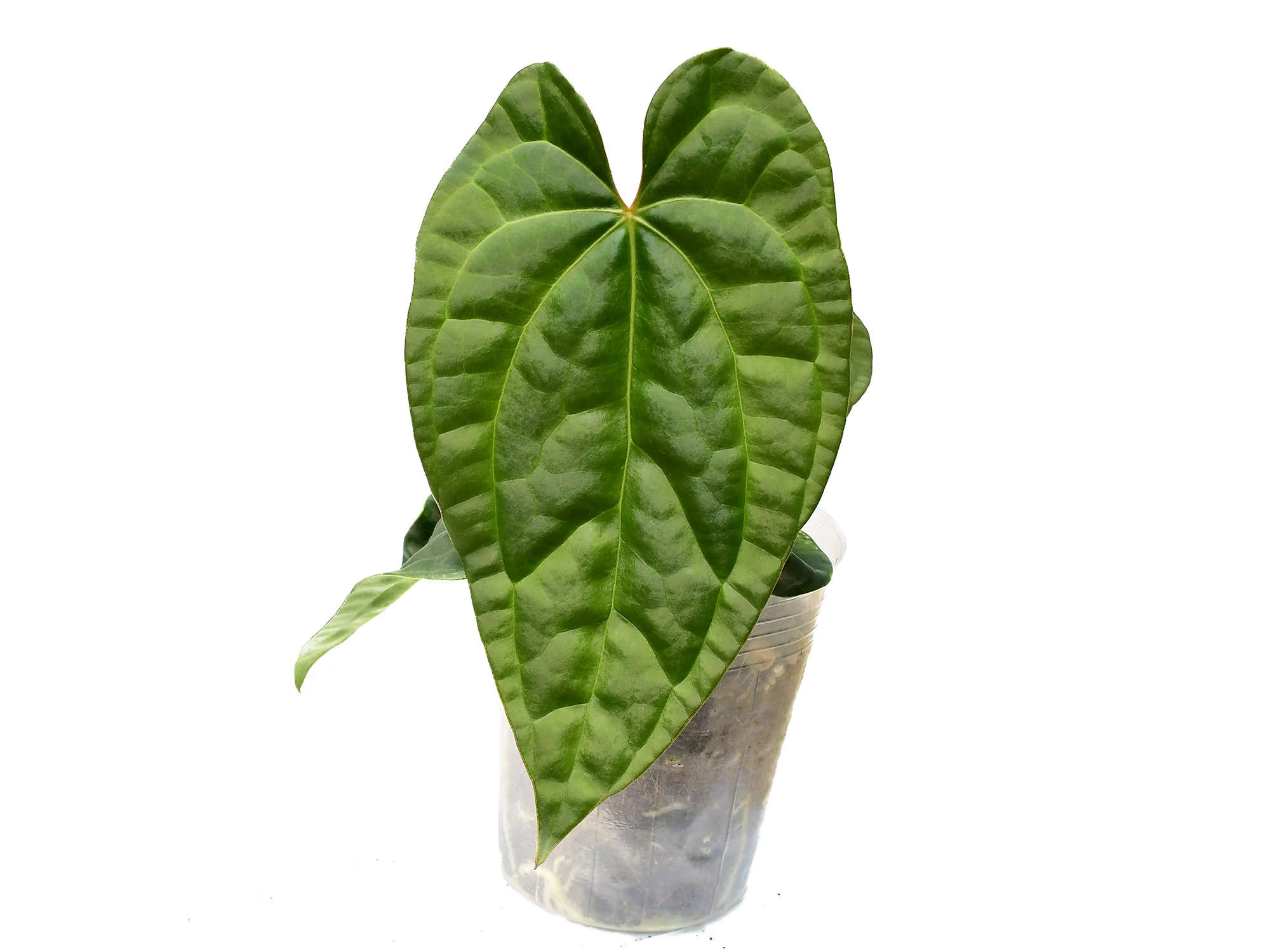 Produktbild 2