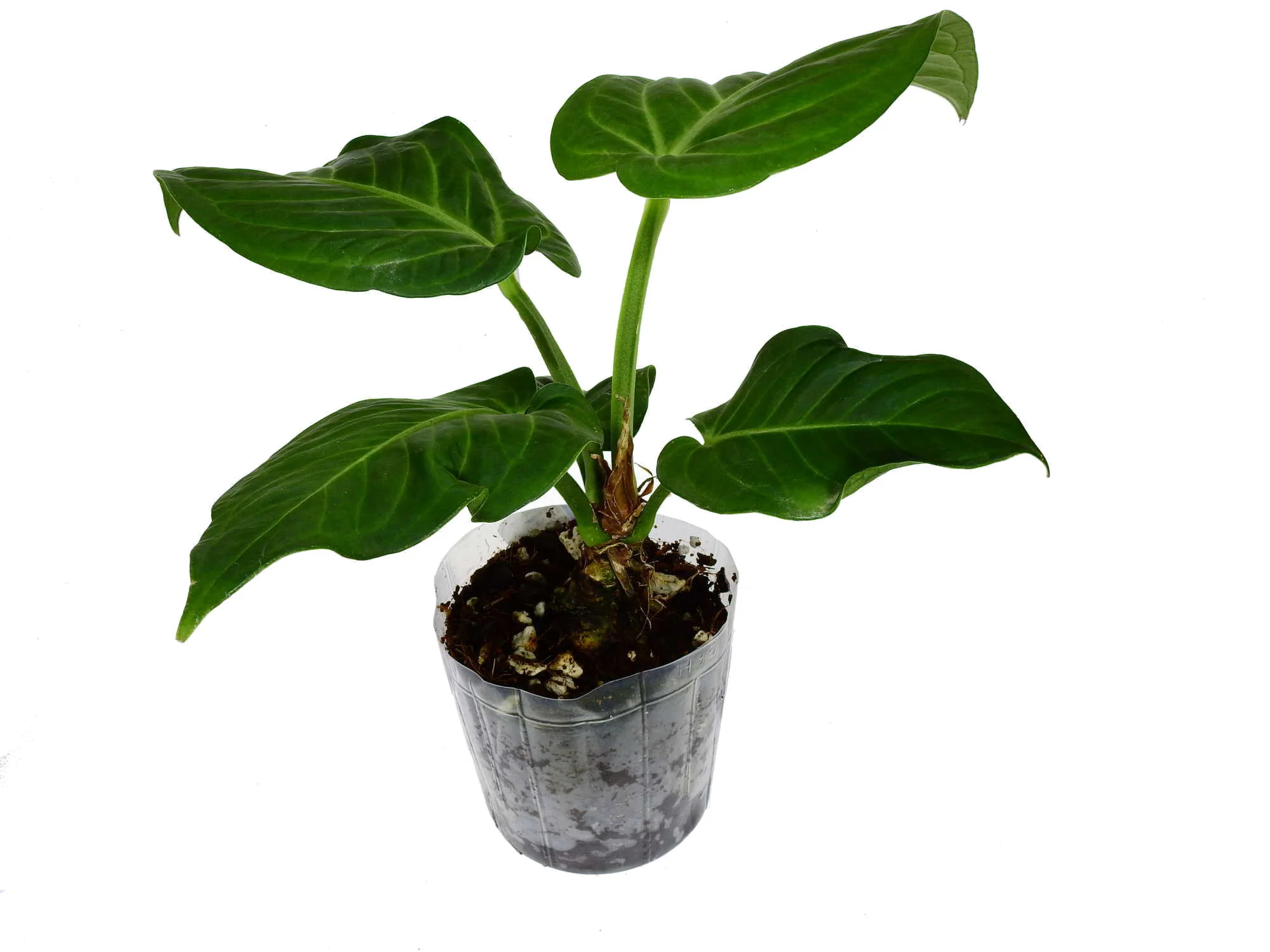 Produktbild 1
