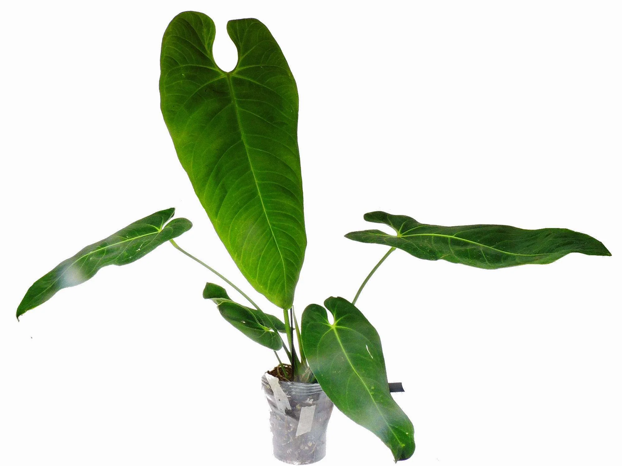 Produktbild 1