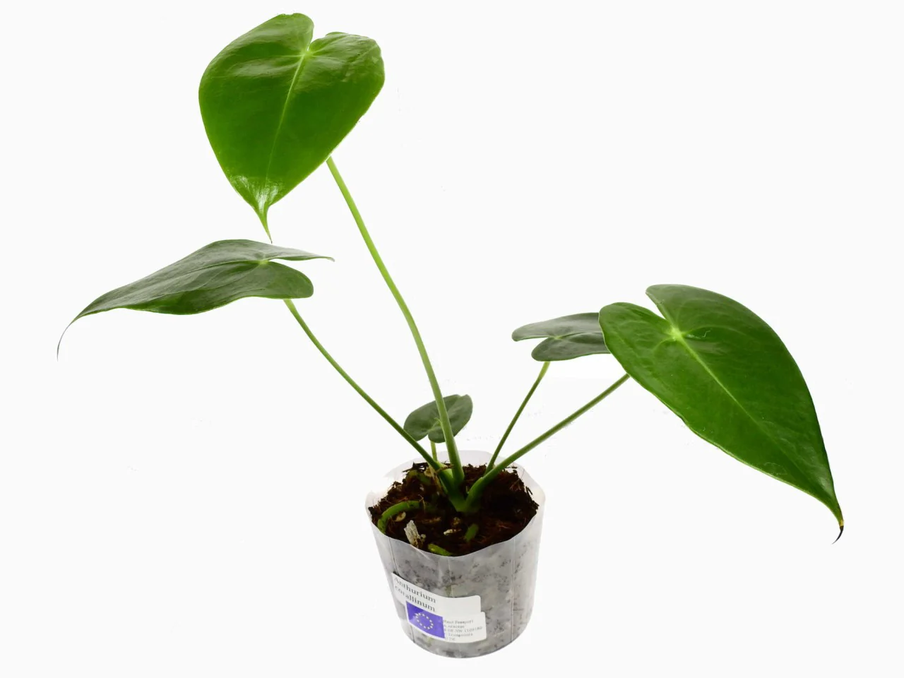 Produktbild 1