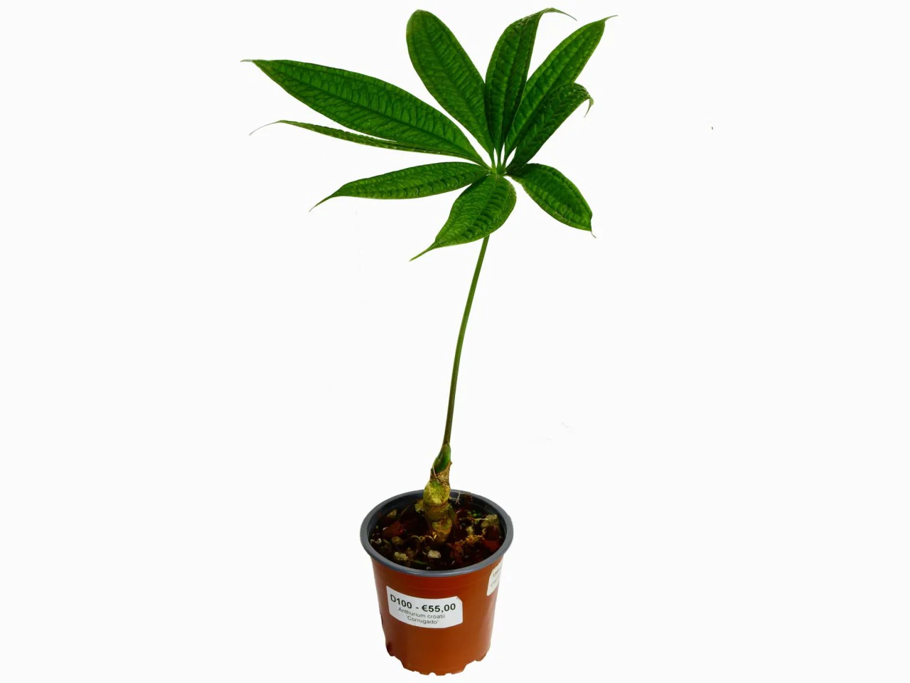 Produktbild 1