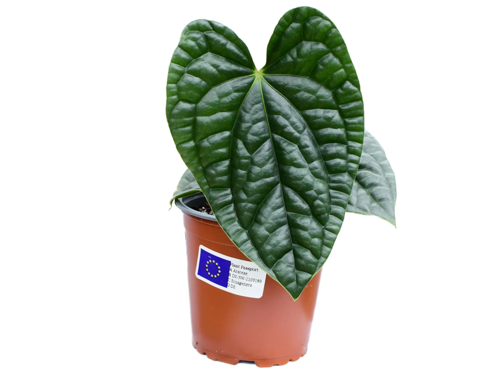 Produktbild 1