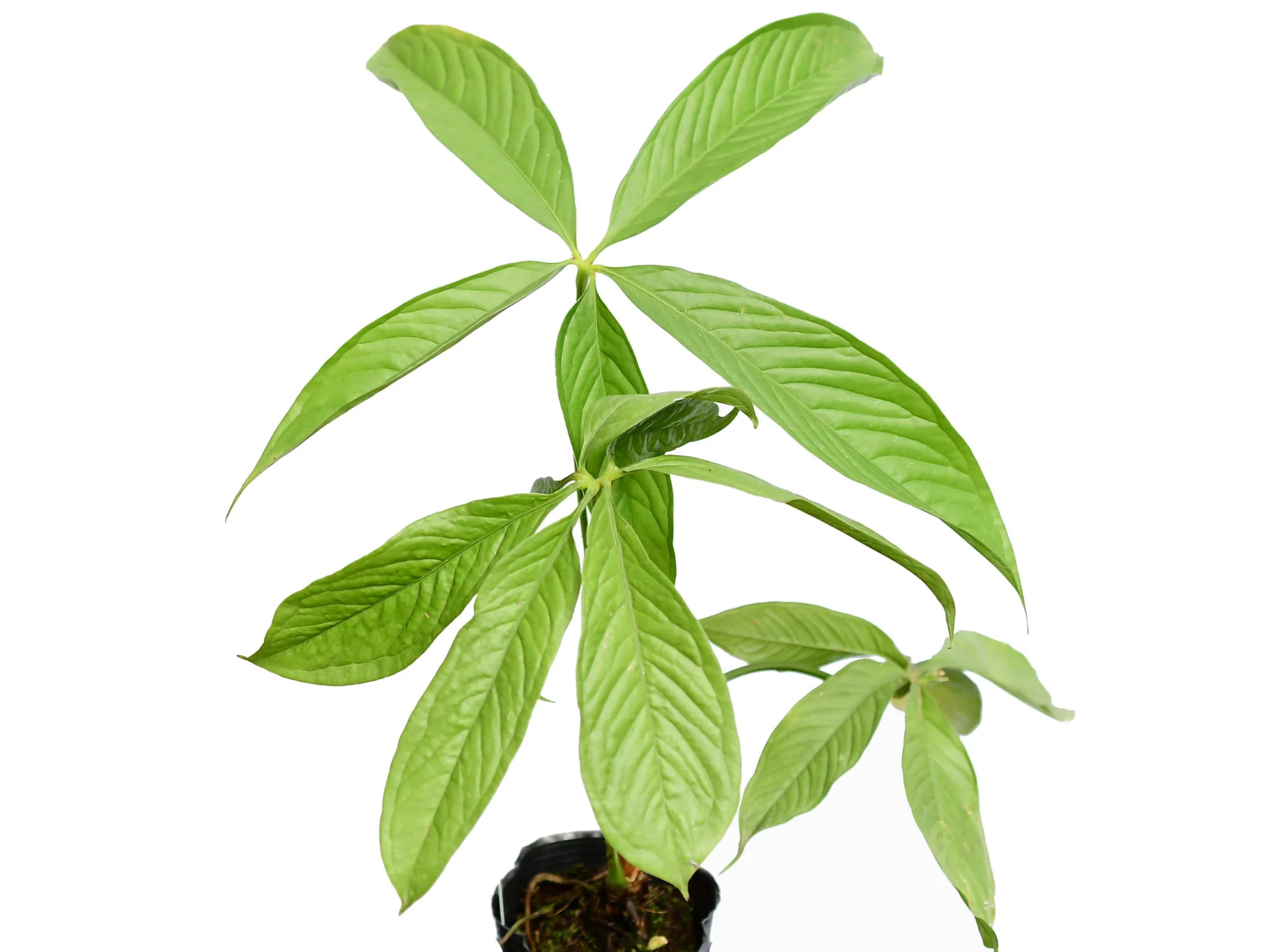 Produktbild 1