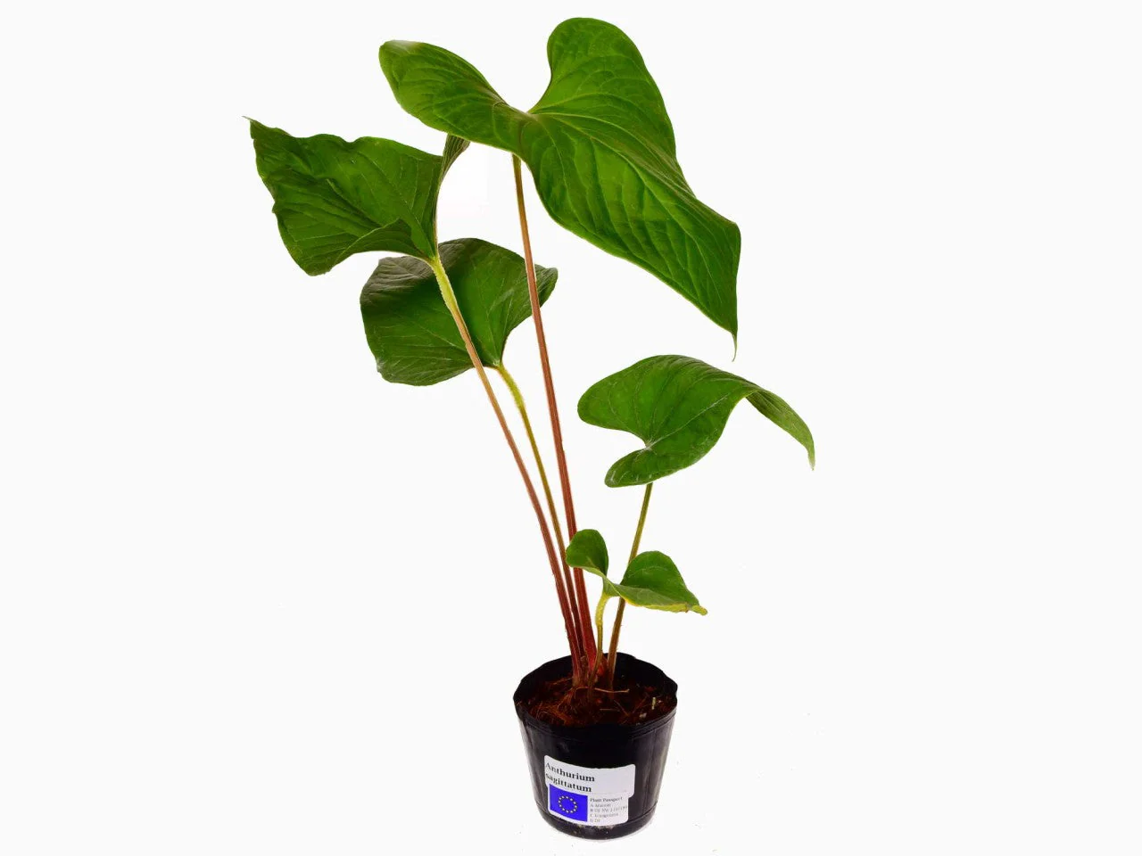 Produktbild 1