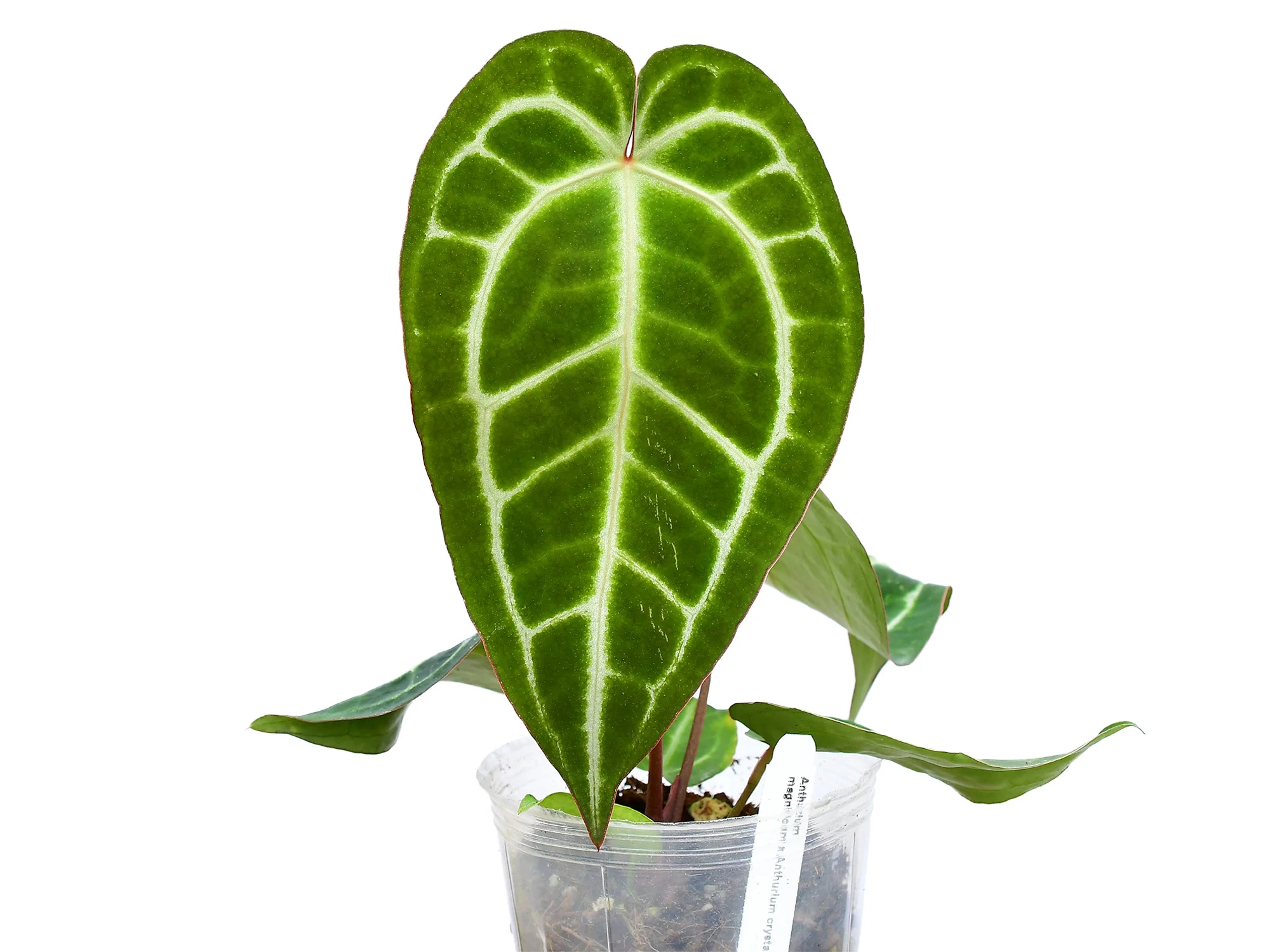 Produktbild 1