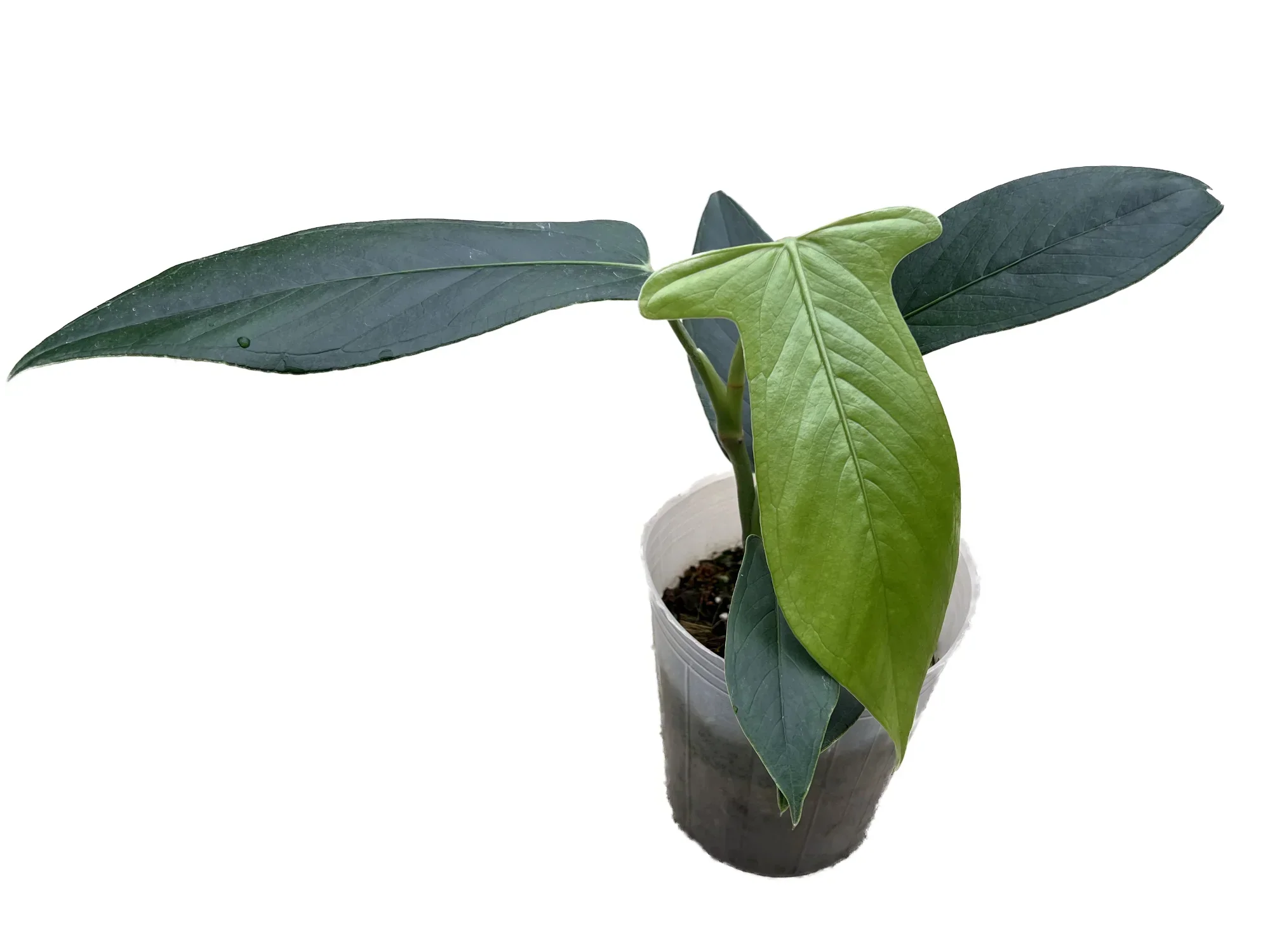 Produktbild 1