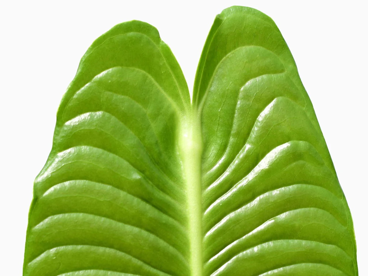 Produktbild 4