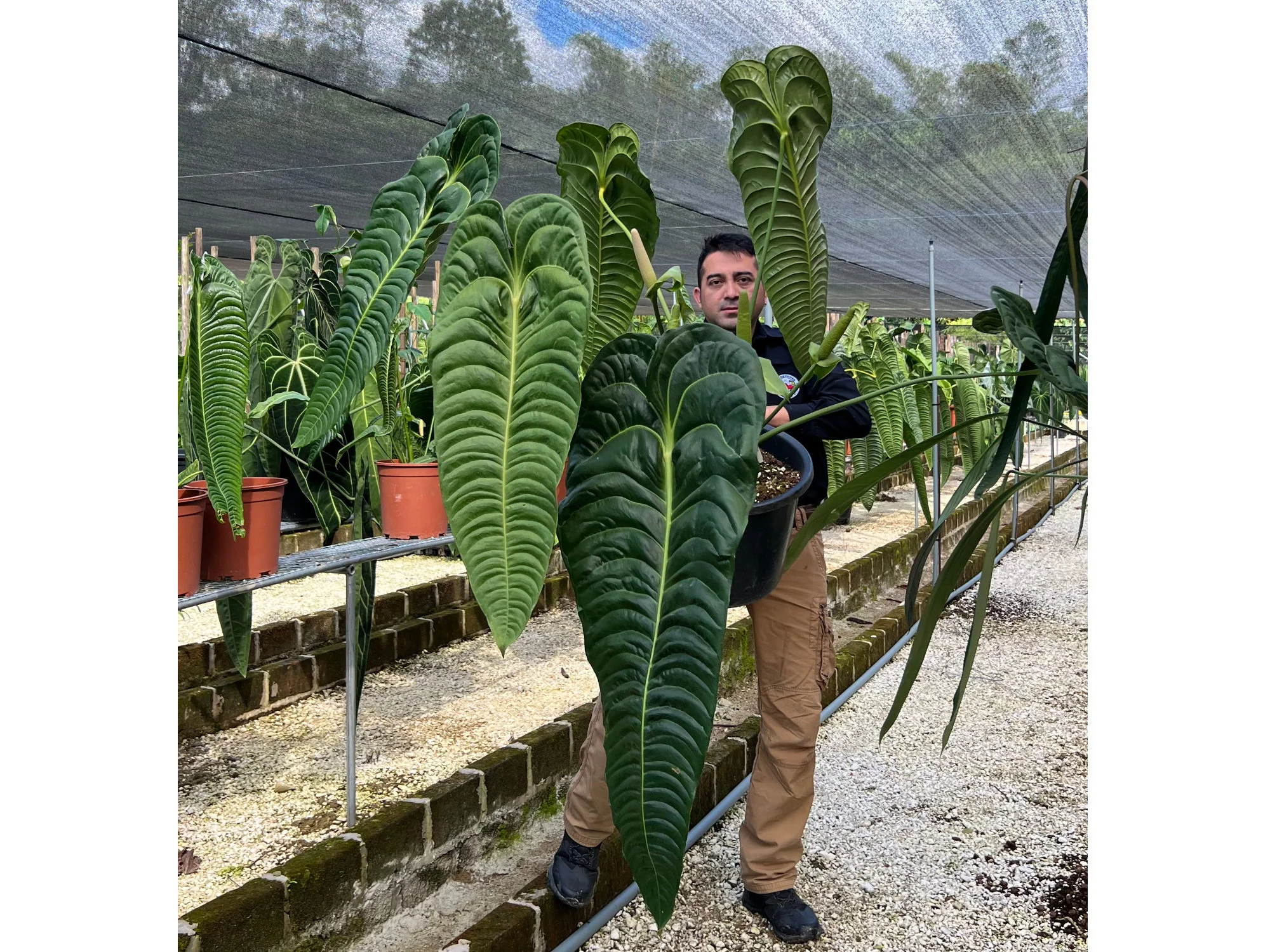 Produktbild 2