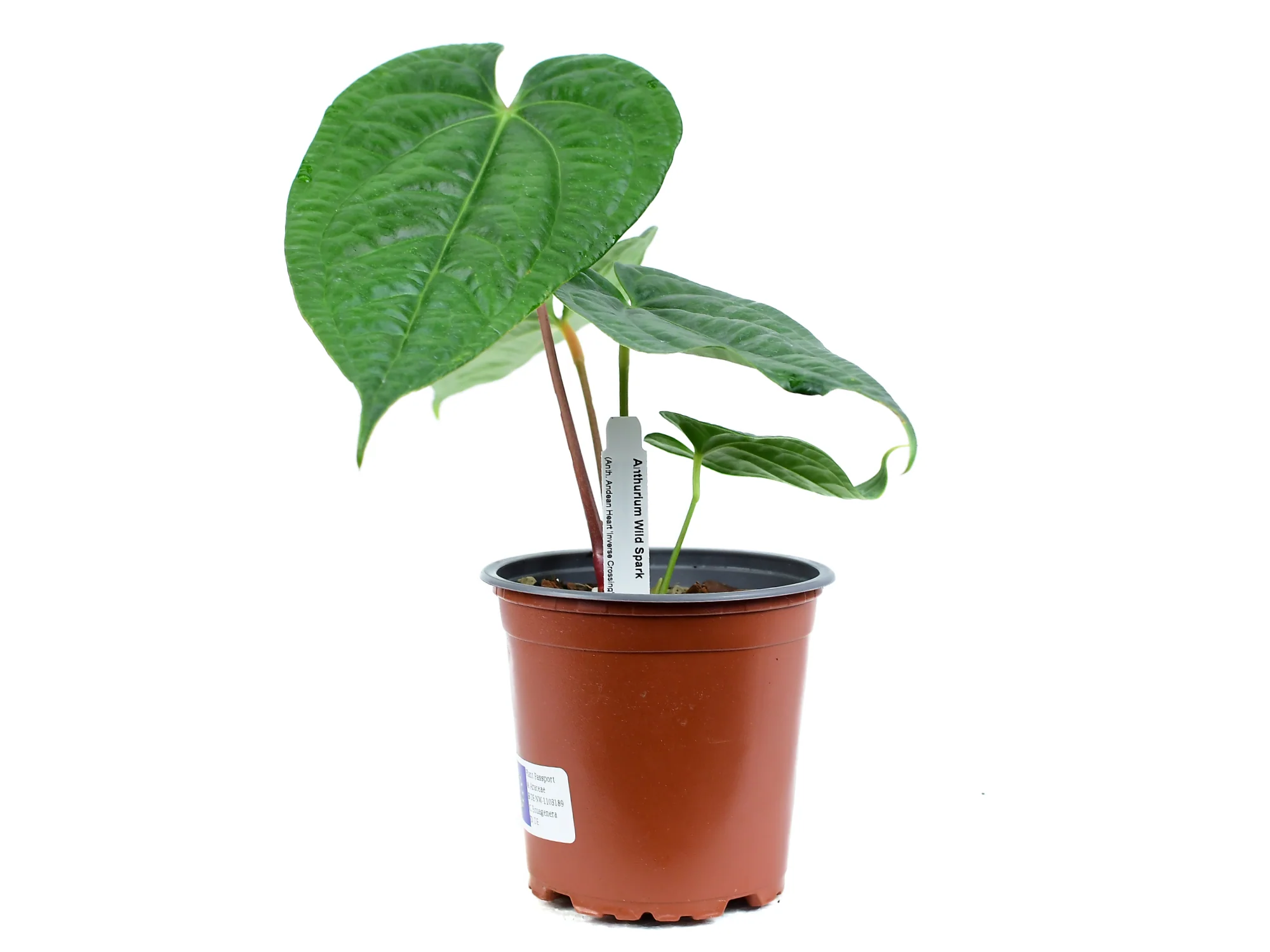 Produktbild 1