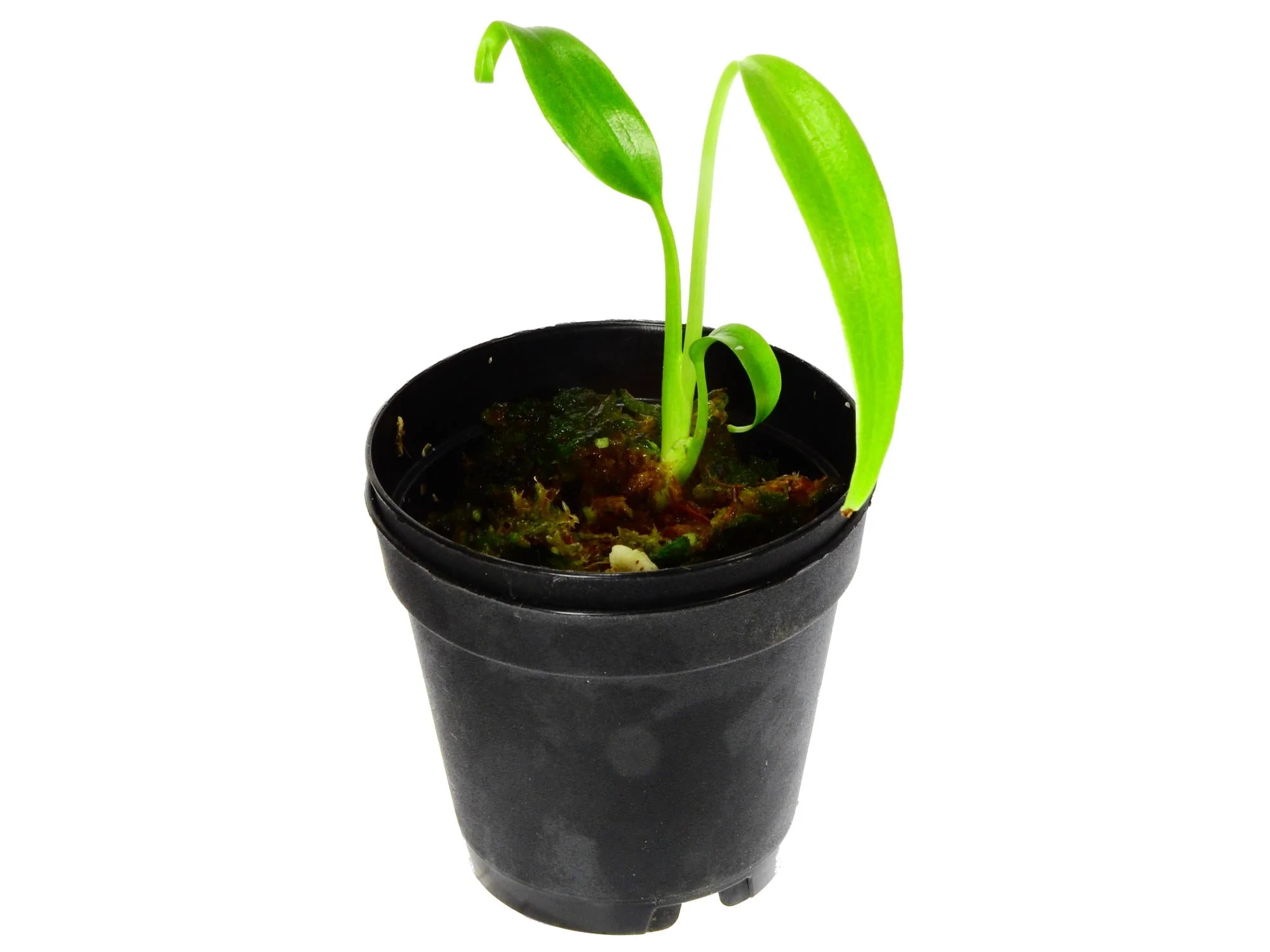 Produktbild 7