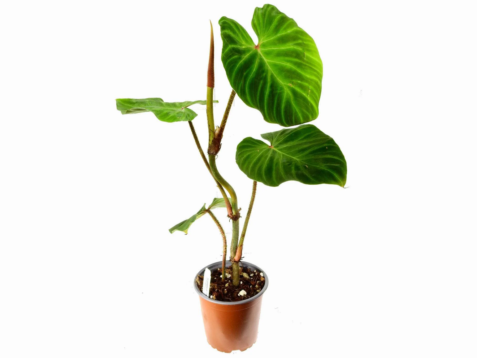Produktbild 1