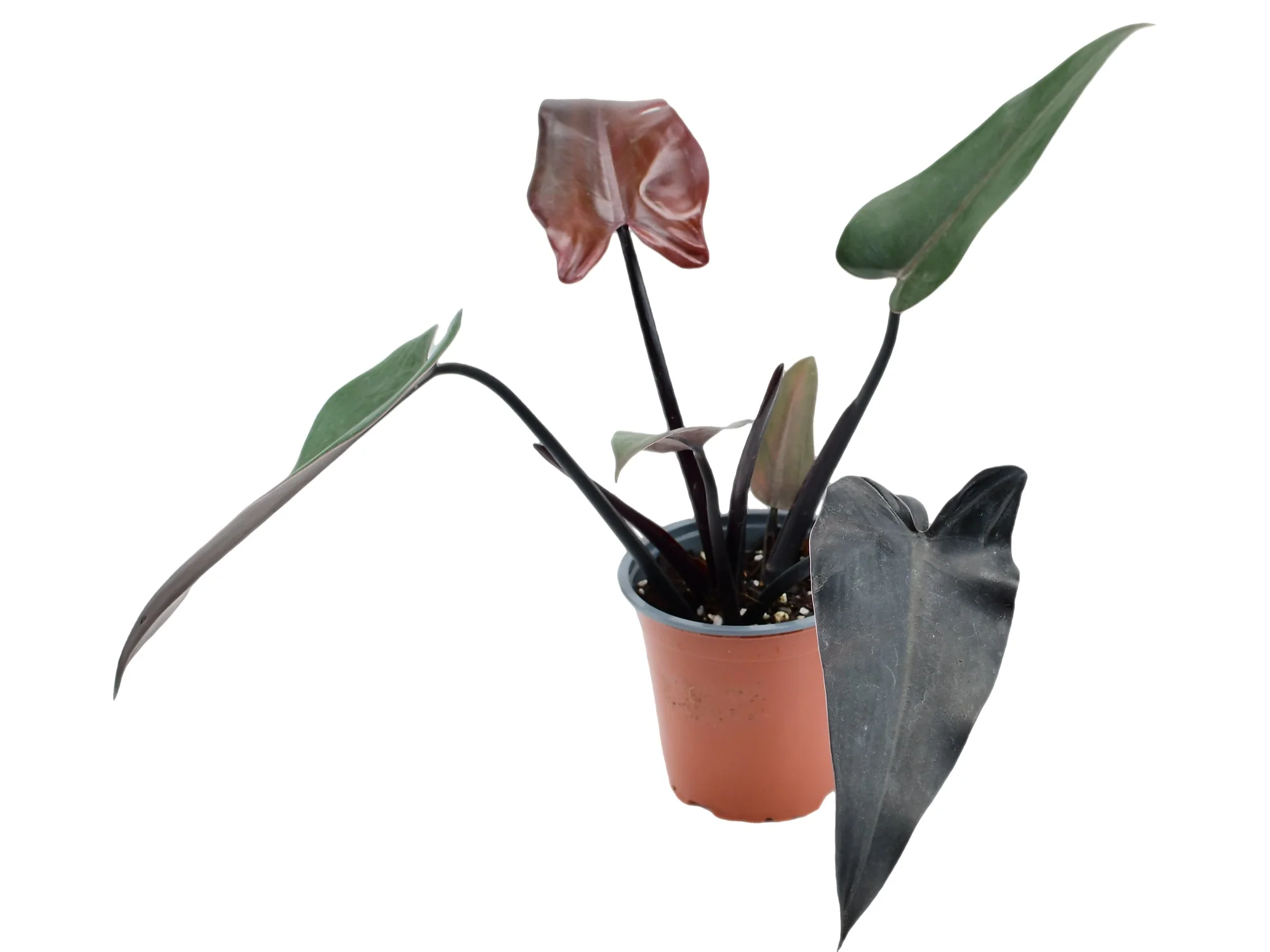 Produktbild 1