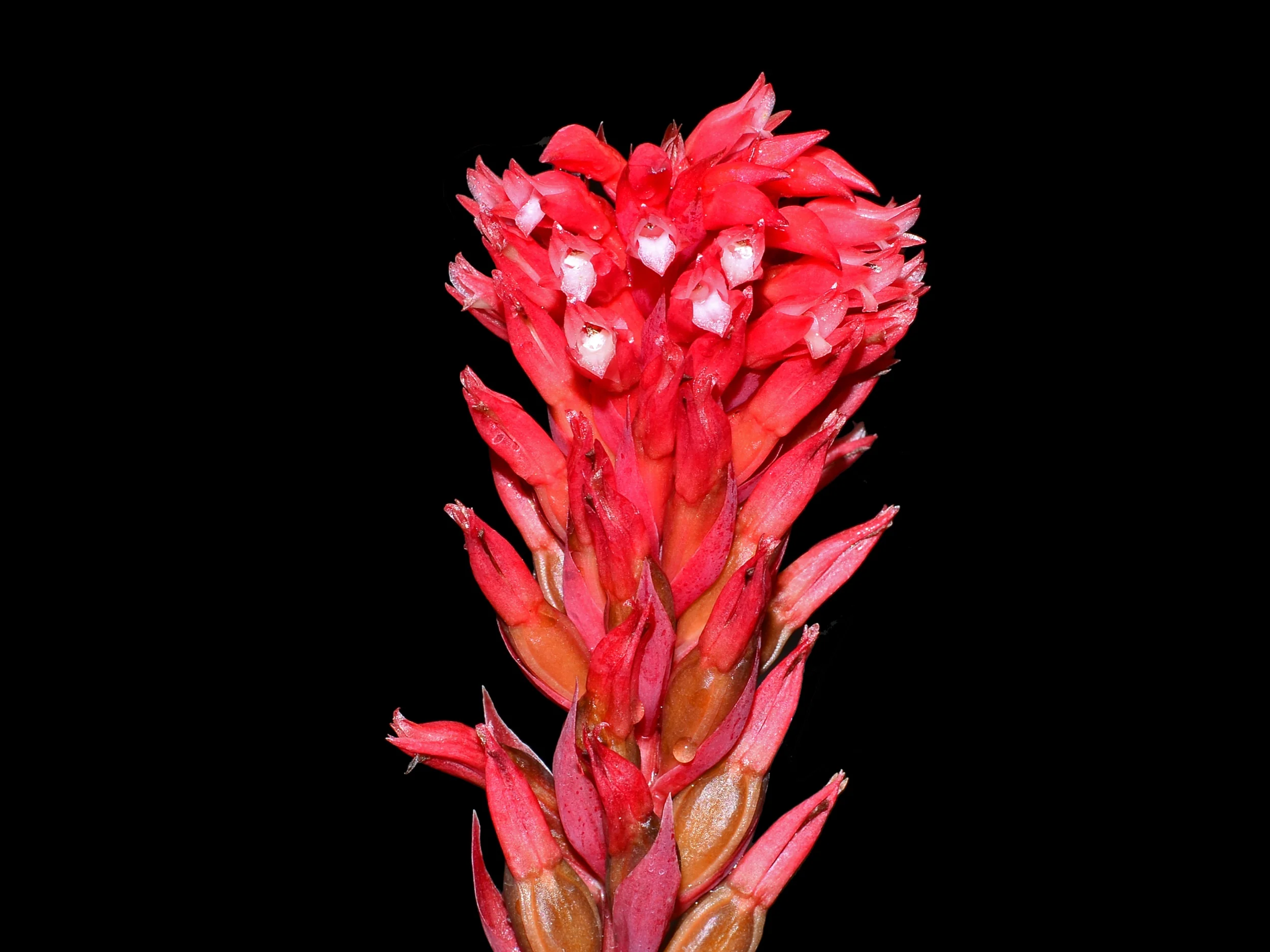 Produktbild 2